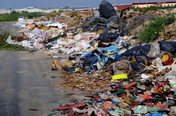 Bilinçsiz vatandaşlar ve işletmelerin attığı çöpler halk sağlığını tehdit ediyor
