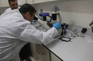Bitlis Eren Üniversitesinde ‘Hücre Kültürü’ laboratuvarı kuruldu
