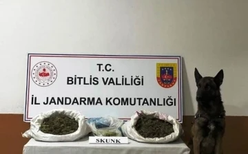 Bitlis’te 10 kilo 200 gram skunk maddesi ele geçirildi
