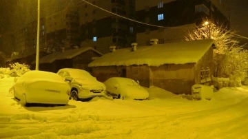 Bitlis’te kar yağışı etkisini arttırdı
