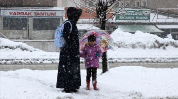 Bitlis'te Kar Yağışı Nedeniyle Okullar Tatil Edildi