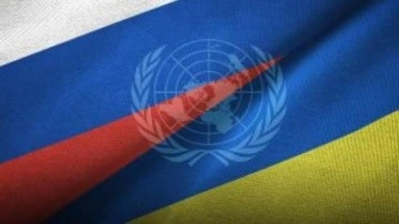 BM'den Rusya'ya 'İzin' verin' çağrısı