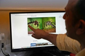 Böcek profesöründen ’sivrisinek’ uyarısı: Kış uykusuna yatmadılar, kan emmeye devam ediyorlar
