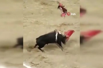 Boğa matadoru metrelerce havaya fırlattı
