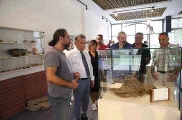 Bölgenin ilk deniz canlıları müzesi Mersin’de açılıyor
