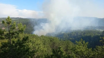 Bolu’da çıkan orman yangınında 1 hektar alan zarar gördü
