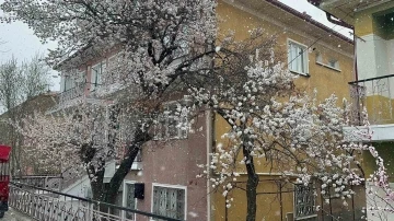 Bolvadin’de kar yağışı etkili oldu
