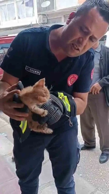 Boruya sıkışan yavru kedi, itfaiye ekipleri tarafından kurtarıldı
