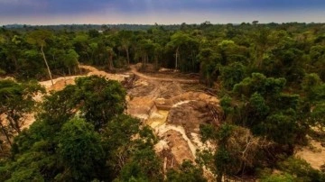 Brezilya'da yerli halkın zaferi: Amazonlarda madencilik yasaklandı