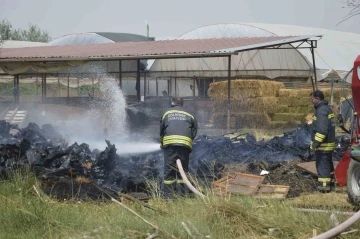 Burdur’da ekmek sobasından sıçrayan kıvılcımlar yangın çıkardı
