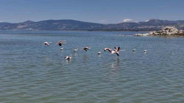 Burdur Gölü’nü besleyen yer altı su kaynakları su kuşlarına ev sahipliği yapıyor
