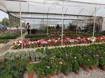 Burhaniye’ de çiçek satışları arttı
