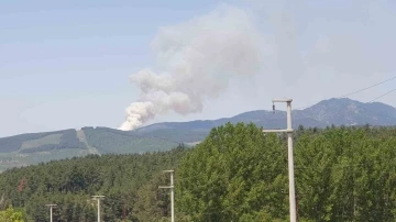 Bursa’da orman yangını...Uçaklar ve helikopterler sevk edildi
