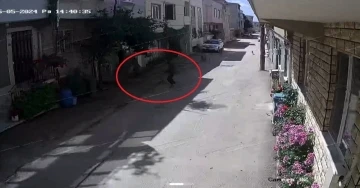 Bursa’da sokak köpekleri 3 çocuğa saldırdı, olay anı kameraya yansıdı

