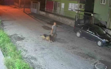 Çaldığı köpekle sokakta salına salına gezen şahıs, polis ekiplerinden kaçamadı
