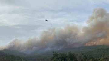Çanakkale Valiliğinden orman yangınlarına karşı uyarı
