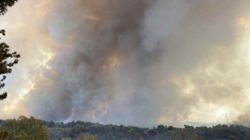 Çanakkale'de devam eden yangında 1500 hektarın etrafı çevrildi