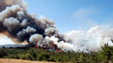 Çanakkale'de orman yangını! Yangın kontrol altına alındı