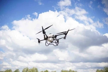 Çarşamba Ovası’nda ulaşımı zor tarım alanları dronla ilaçlanacak
