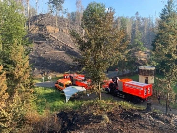Çekya’daki orman yangınında bin hektarlık alan kül oldu
