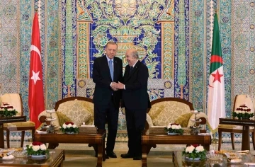 Cumhurbaşkanı Erdoğan, Cezayirli mevkidaşı Tebbun ile görüştü
