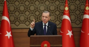 Cumhurbaşkanı Erdoğan'ın BAE ve Mısır Ziyaretleri