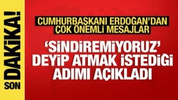 Cumhurbaşkanı Erdoğan'dan yeni anayasa mesajı: Cumhuriyetin 100. yılında sindiremiyoruz
