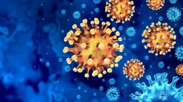 Deltacron: Yeni koronavirüs varyantı hakkında ne biliyoruz ve WHO neden 'kaygılanmayın' di