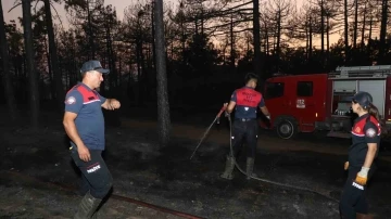 Denizli’de orman yangınında 20 hektar alan kül oldu
