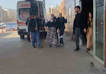 Diyarbakır’da 72 yaşındaki kadın besledikleri köpeğin saldırısına uğradı
