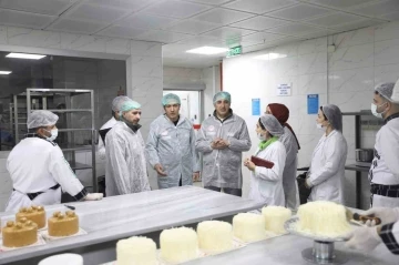 Diyarbakır’da ilk iki ayda 2 bin 2 işletmeye gıda denetimi yapıldı
