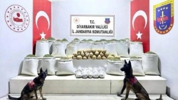 Diyarbakır’da 637 kilo esrar ele geçirildi