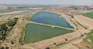 Diyarbakır’da su kaynaklarına 2 milyon 904 bin sazan balığı bırakıldı
