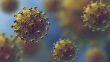 Dünyayı sarsan 'koronavirüs' iddiası: ABD fonuyla üretildi, pandemiden 2 yıl önce yayıldı!