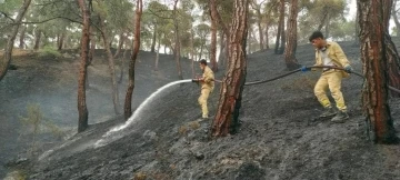 Düşen yıldırım orman yangını çıkardı
