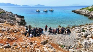 Düzensiz göçmenleri Yunanistan diye ıssız koya bırakıp gittiler
