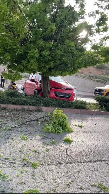 Elazığ’da otomobil ağaca çarptı: 3 yaralı
