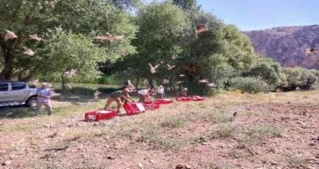 Elbistan’da 525 adet kınalı keklik doğaya salındı