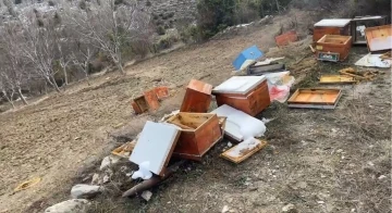 Emet’te ayılar 36 kovanı parçaladı, arılar telef oldu
