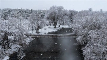 Erciş ilçesinde Kar Yağışıyla Beyaz Bir Güzellik Oluştu