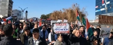 Erciş’te ‘Filistin’e özgürlük İsrail’e lanet’ yürüyüşü
