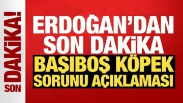 Erdoğan: Başıboş köpek sorununu çözeceğiz!