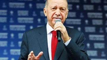"Erdoğan kaybederse özgür dünya sevinecek"