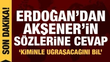 Erdoğan'dan Akşener'in papatya çayı önerisine cevap: Rezene iç!