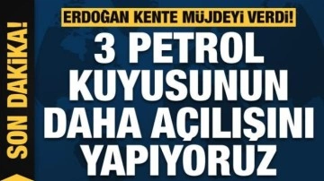 Erdoğan'dan Mardin'e müjde: 3 petrol kuyusu daha açıldı