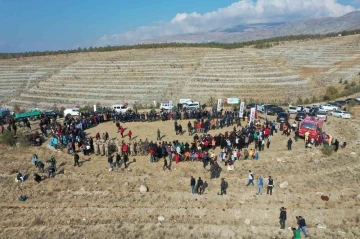 Erzincan’da 410 dönüm alanda 36 bin adet fidan toprakla buluşturuldu
