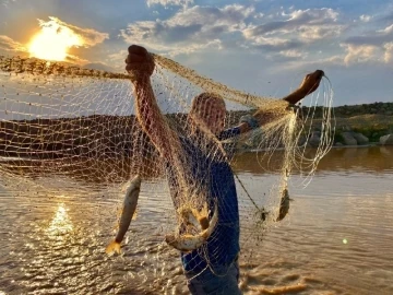Erzincan’da Alabalık avı yasaklandı
