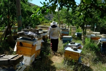 Erzincan’da arıların &quot;tatlı uykusu&quot; başlıyor
