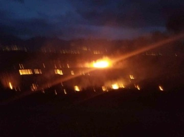 Erzincan'da Çıkan Yangın Hızla Söndürüldü
