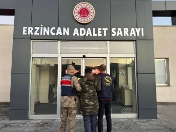 Erzincan’da jandarma ekiplerince çeşitli suçlardan aranan 209 kişi yakalandı
